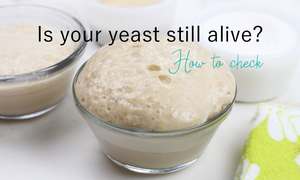 how to check if yeast is still alive and ok