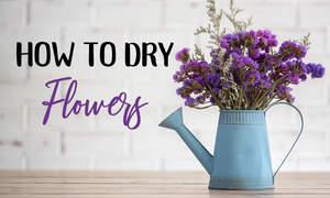 How to dry flowers
