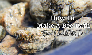 How To Make A Bee Bath |  Bees Need Water