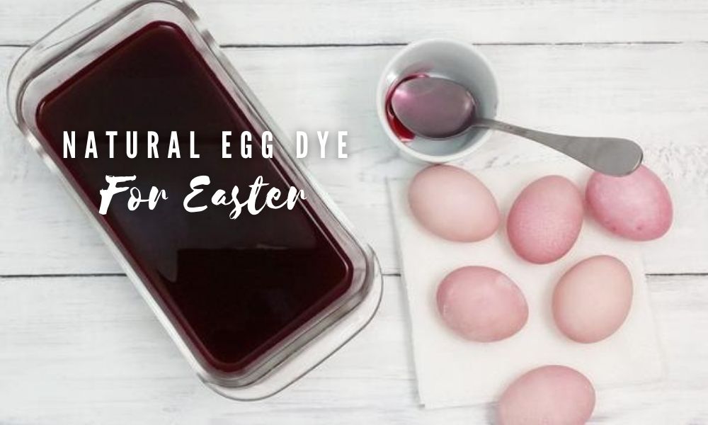 Natural Easter Egg Dye How To Dye Eggs With Beets DIY Craft Club