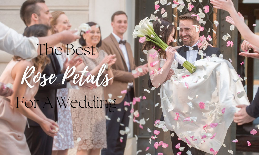 How to make rose petals for wedding | Beachweddingtips.com