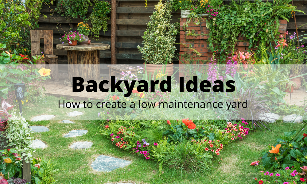 Low deals maintenance backyard