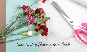 how to dry flowers in books