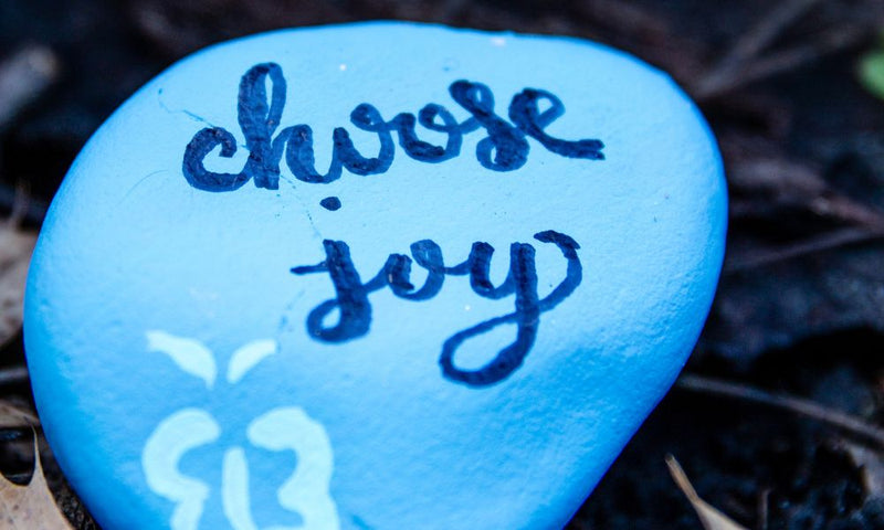 11 Reasons Why Kindness Rocks Are So Popular | Megan Murphy Interview ...