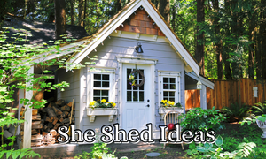 Best she shed ideas