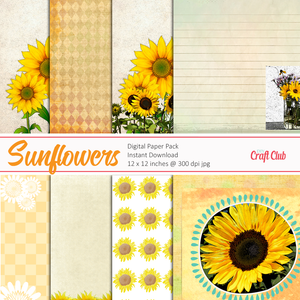 sunflower stock photos