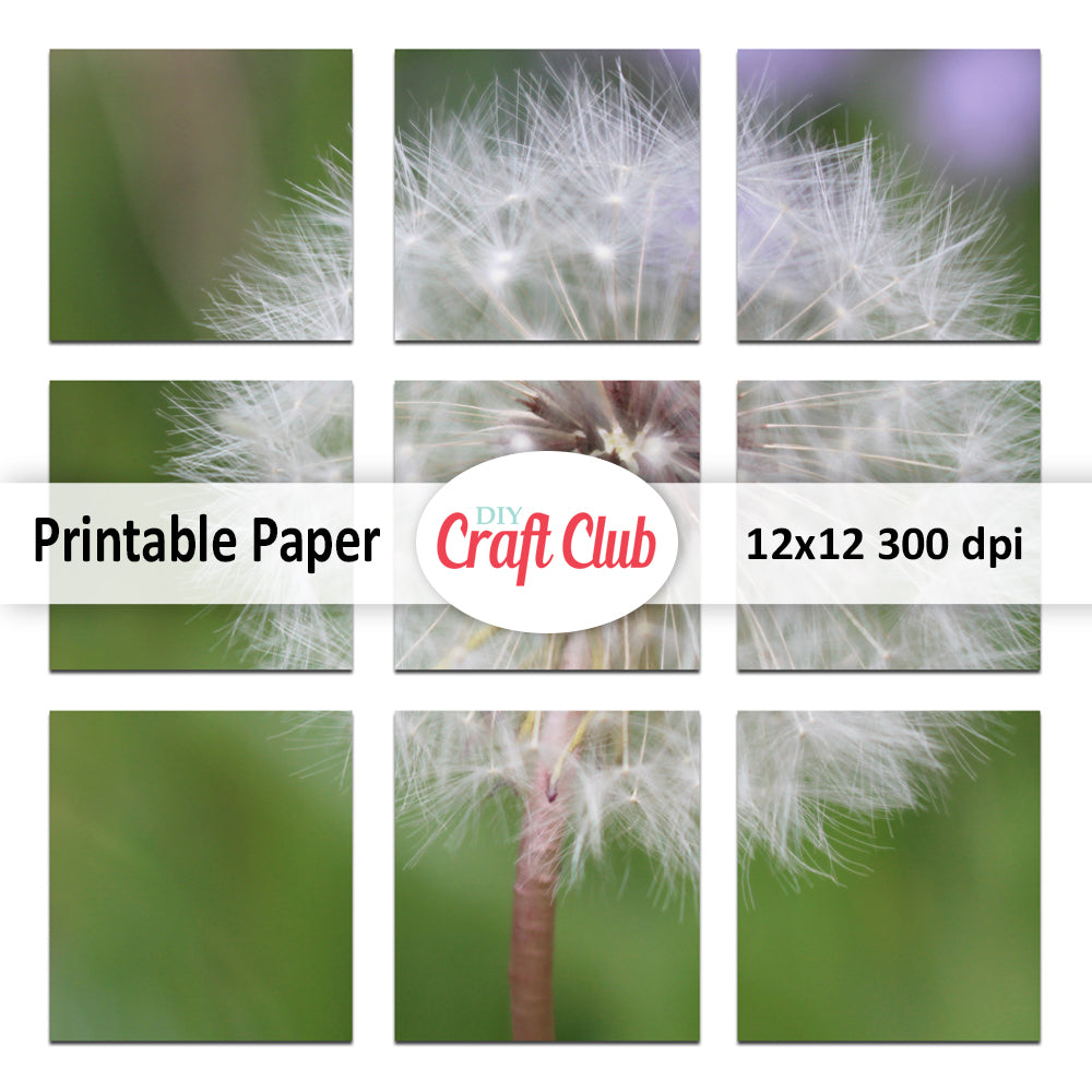 junk journal printables