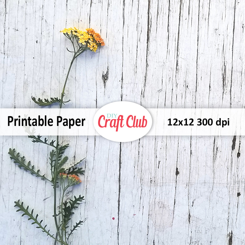 yellow flowers on wooden background