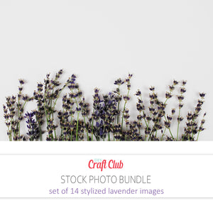 images of lavender