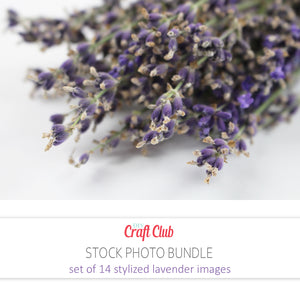 lavender pictures to print