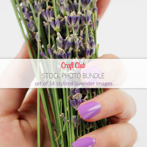 lavender stock photo bundle