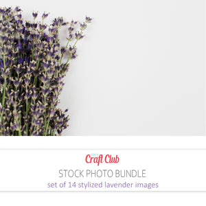 lavender stock photos set of 14