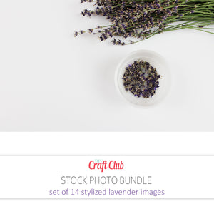 stock photos of lavender commercial use