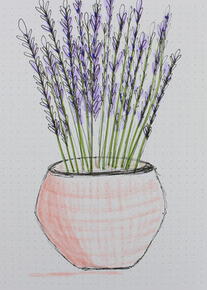 lavender doodle to download